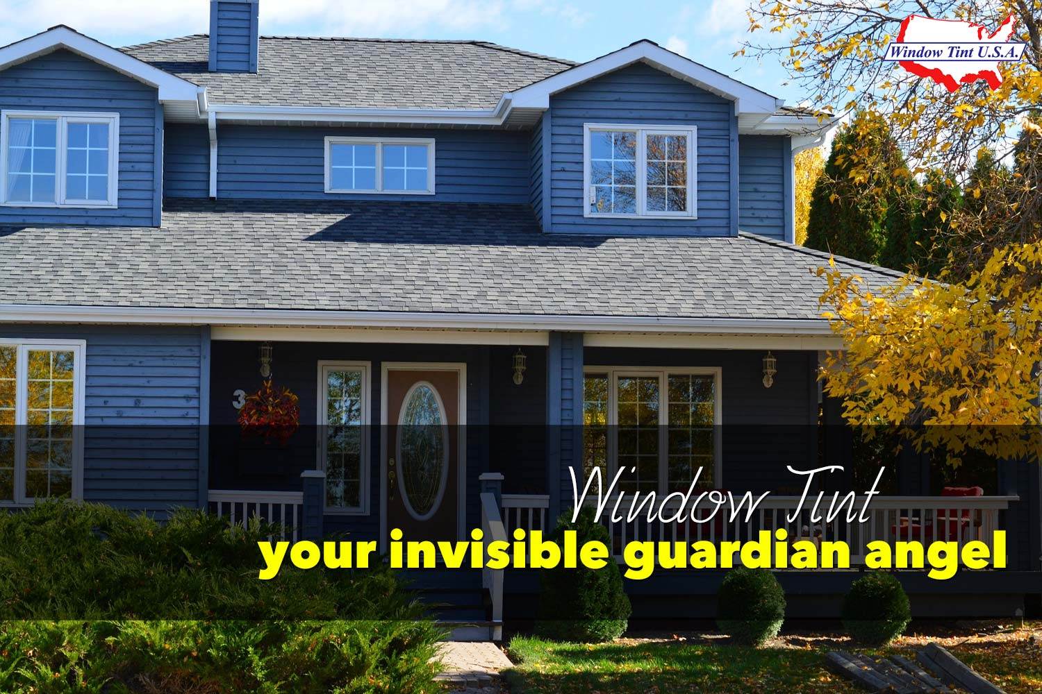 Window Tint